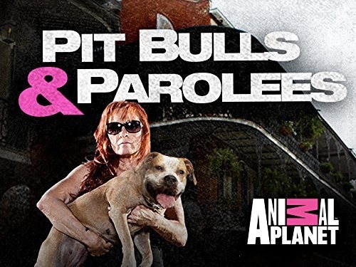 Pit Bulls and Parolees (2009)
