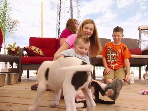 Pit Bulls and Parolees (2009)