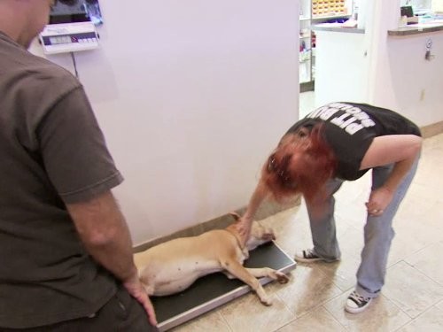 Pit Bulls and Parolees (2009)