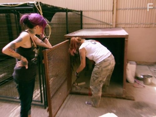 Pit Bulls and Parolees (2009)