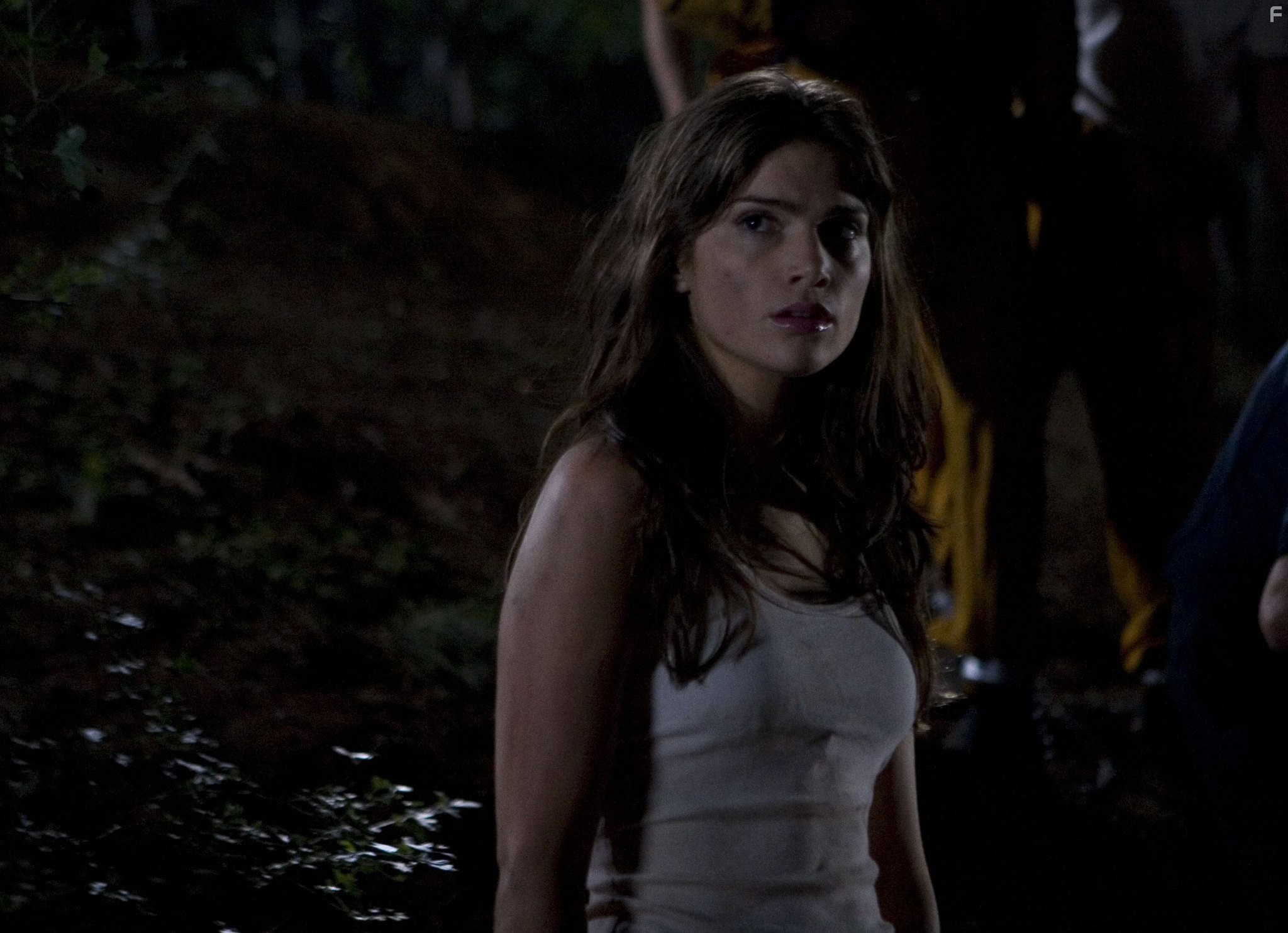 Janet Montgomery in Поворот не туда 3 (2009)