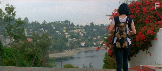 Krysten Ritter in Лучшие друзья и ребенок (2011)