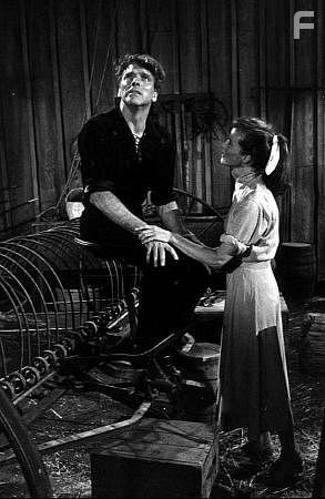 8293-1 Katharine Hepburn and Burt Lancaster in "The Rainmaker" 1956 Paramount © 1978 Bill Avery MPTV