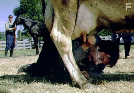 Tom Green stars as Gord