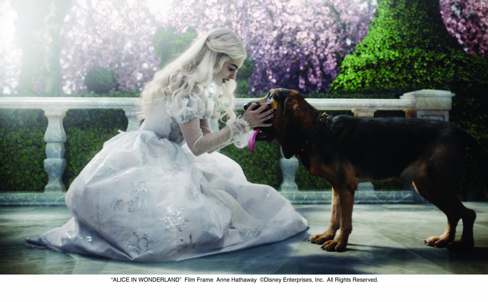 Anne Hathaway in Алиса в стране чудес (2010)