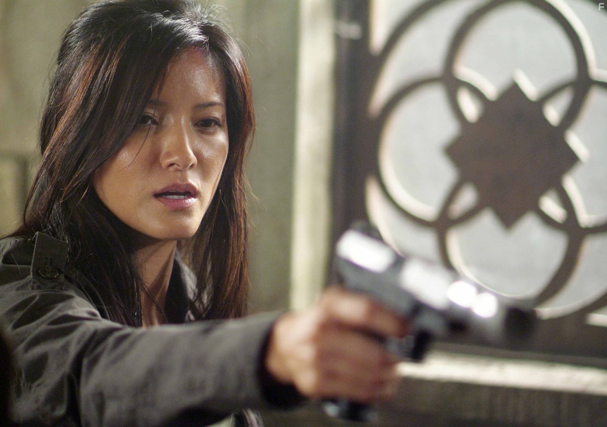 Kelly Hu in Турнир на выживание (2009)