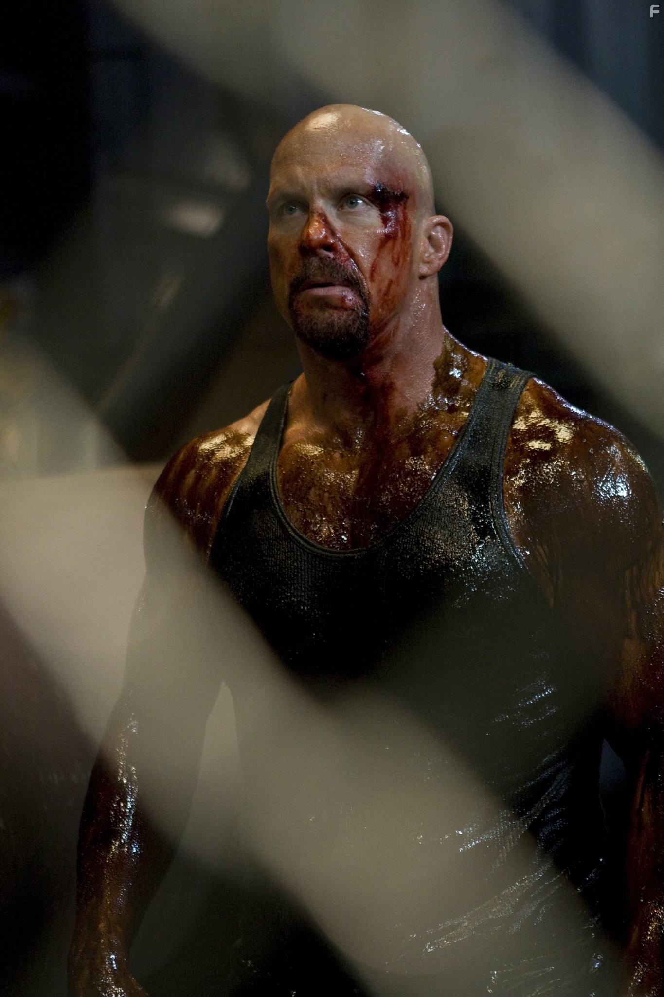 Steve Austin in Ущерб (2009)