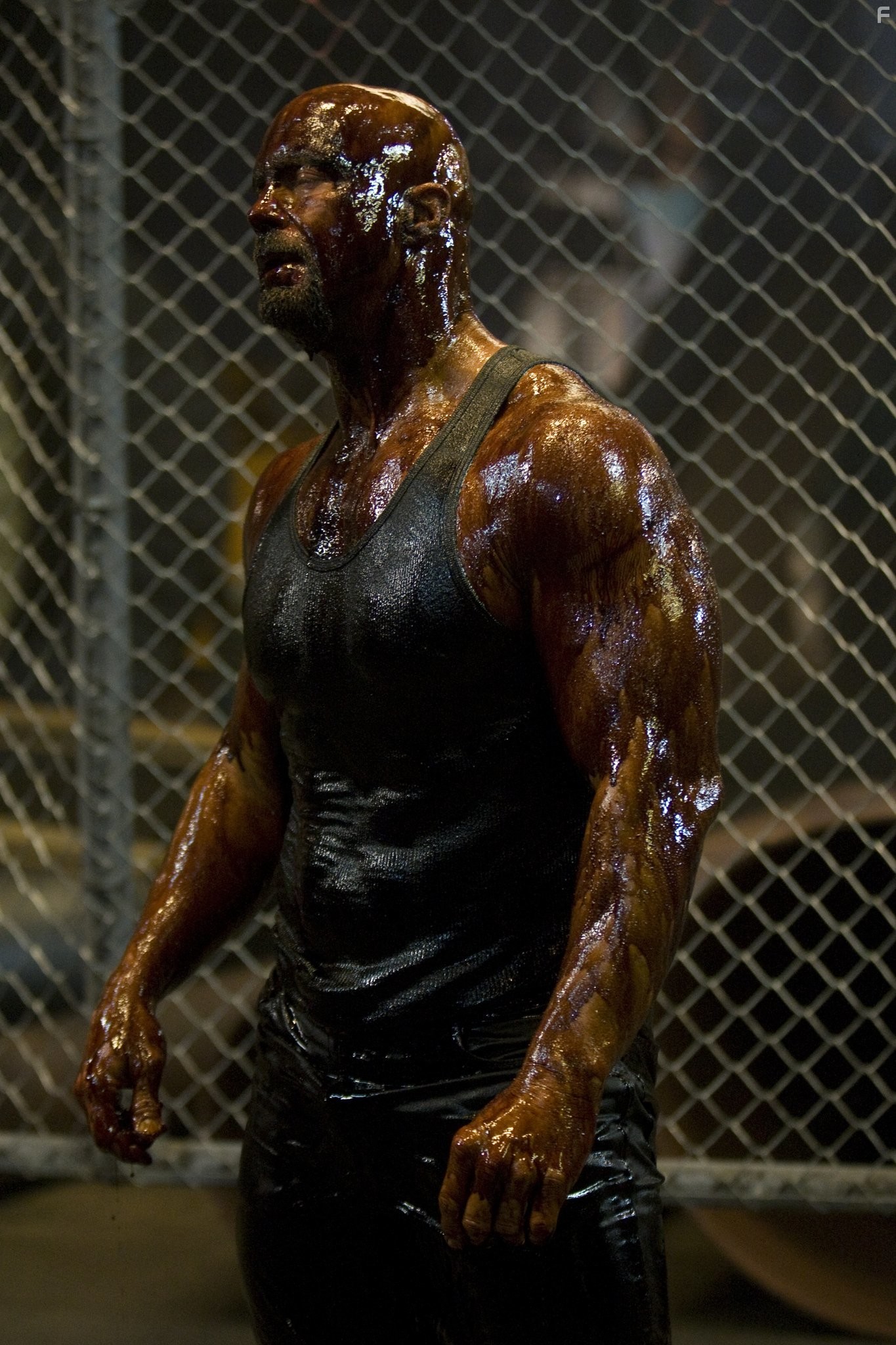 Steve Austin in Ущерб (2009)