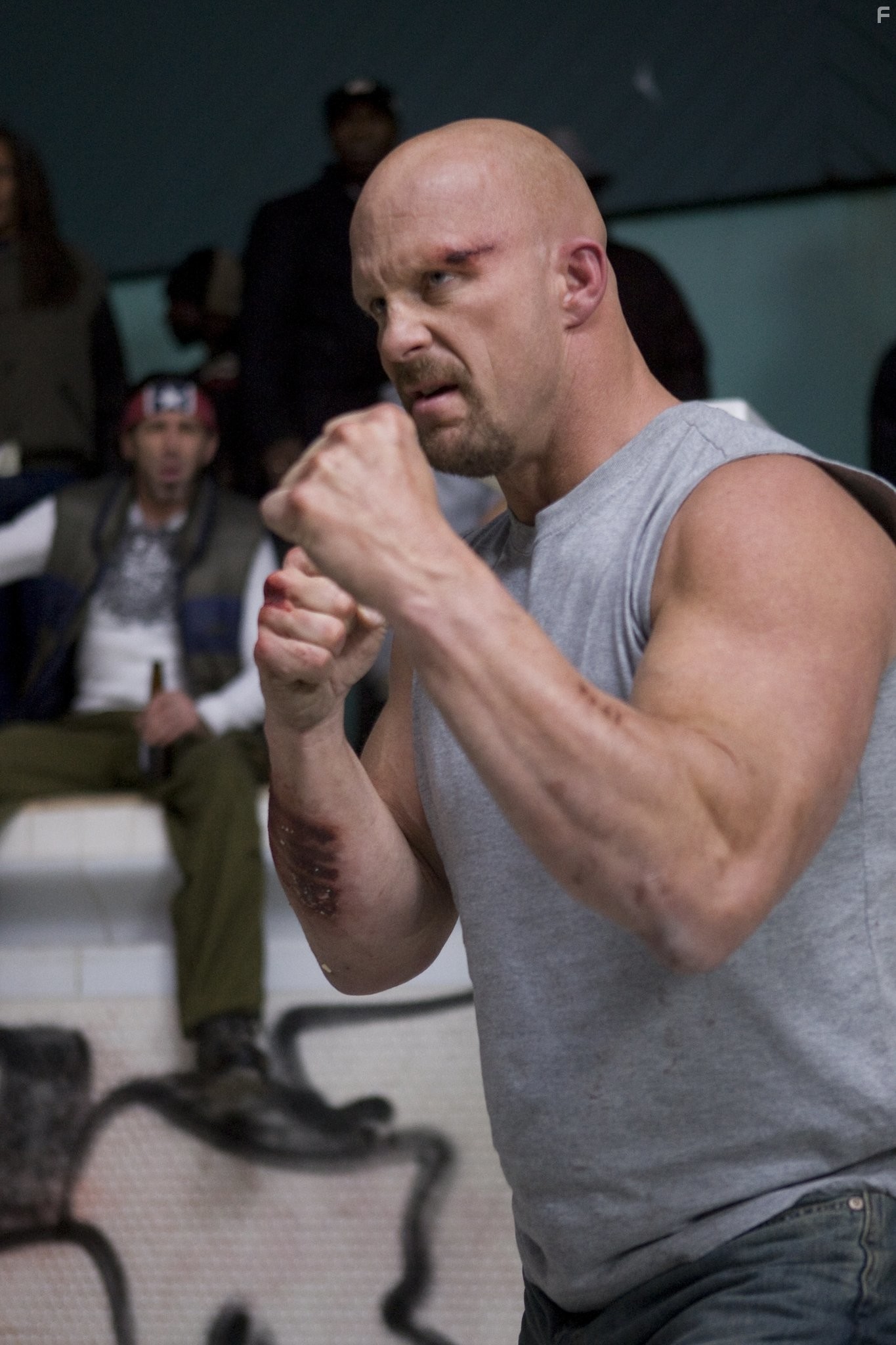 Steve Austin in Ущерб (2009)