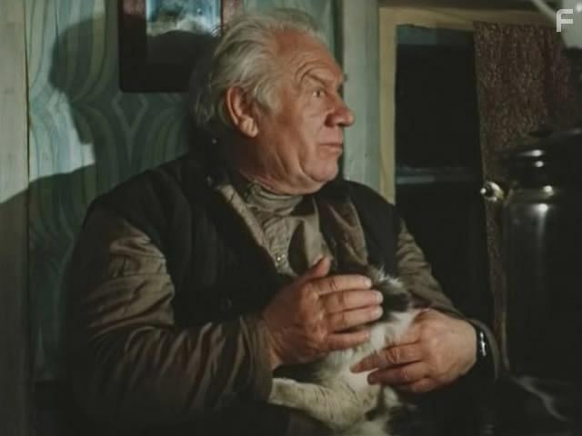 Долгая дорога в дюнах #13