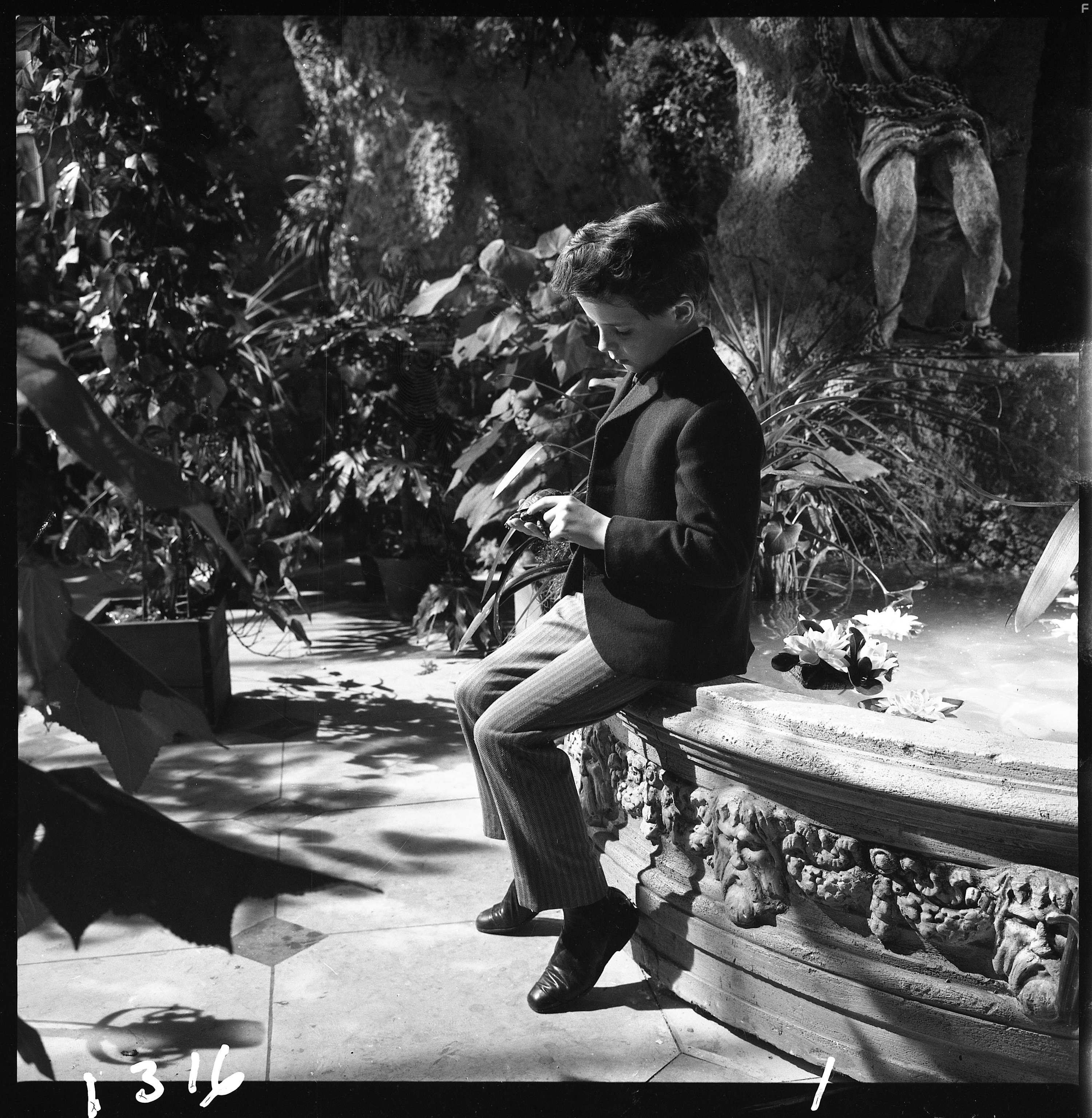 Martin Stephens in Невинные (1961)