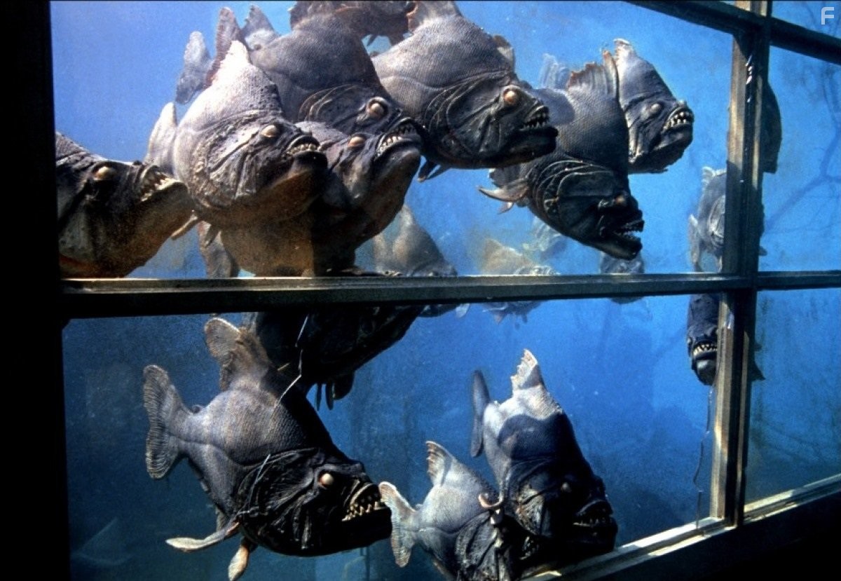 Пираньи (1978)