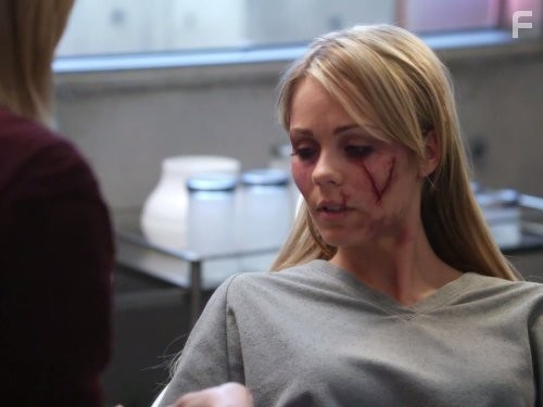 Laura Vandervoort in Vизитeры (2009)