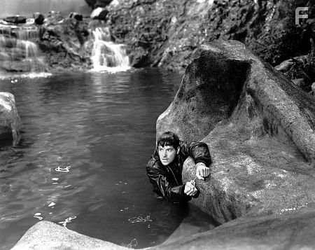 "Saboteur" Robert Cummings 1942 Universal