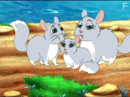 Go, Diego! Go! (2005)