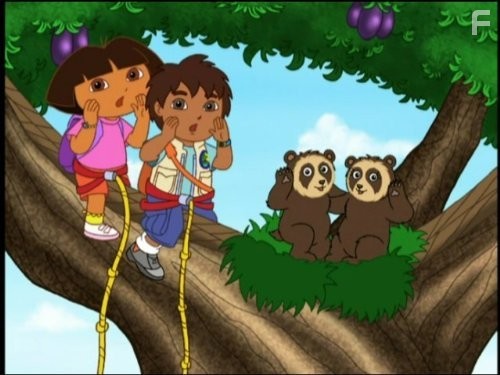 Go, Diego! Go! (2005)