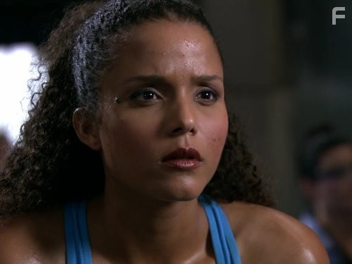 Рыцарь дорог (2008)