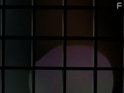 Рыцарь дорог (2008)