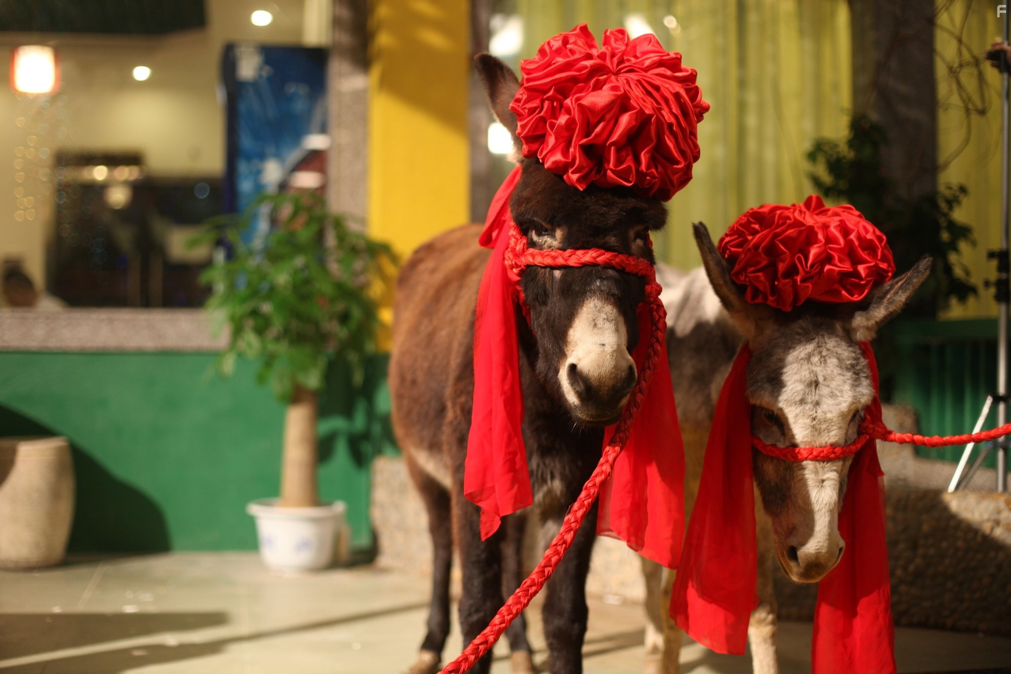 Dai juk hei kek (2012)