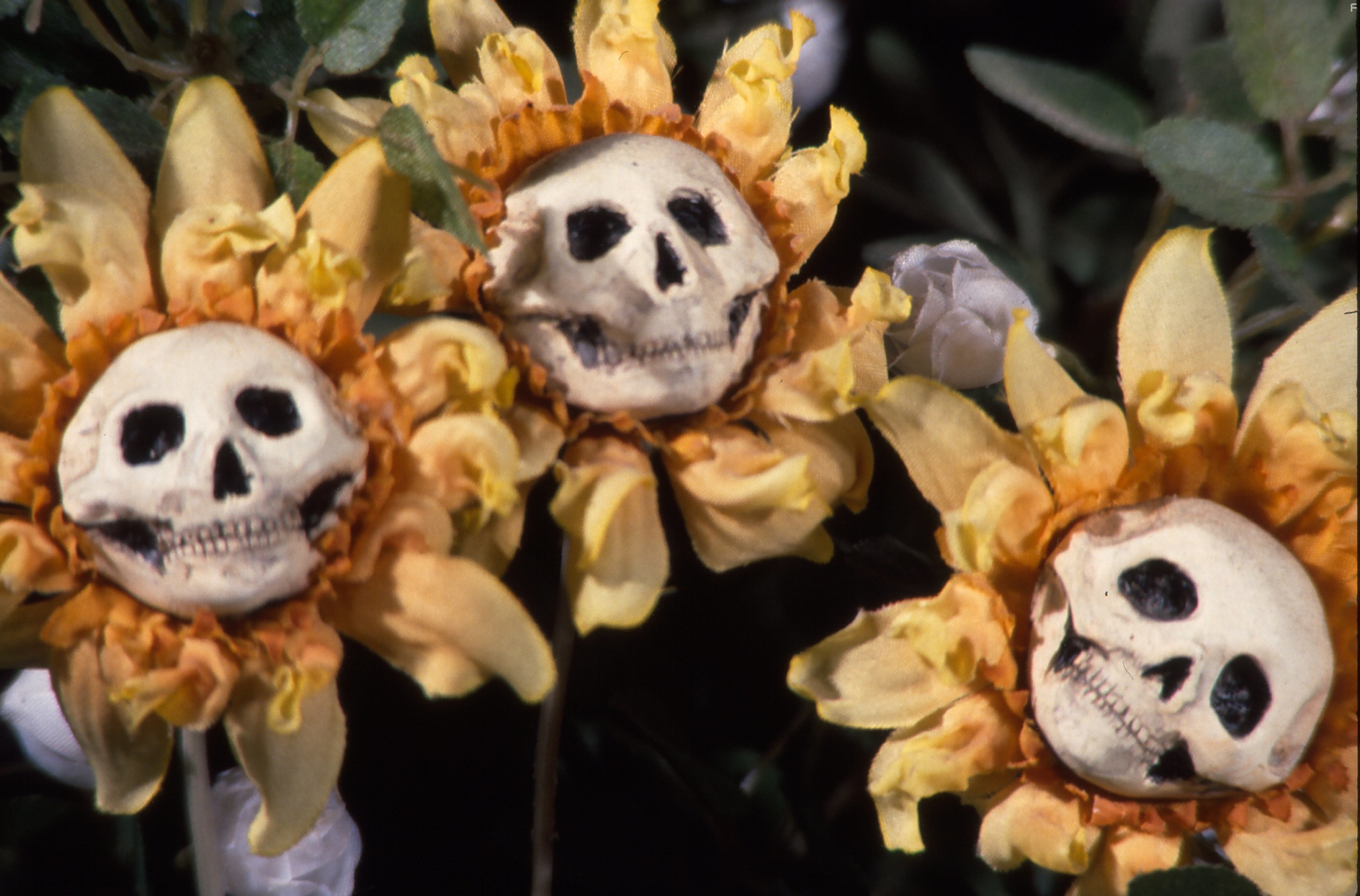 Blood Tea and Red String (2006)