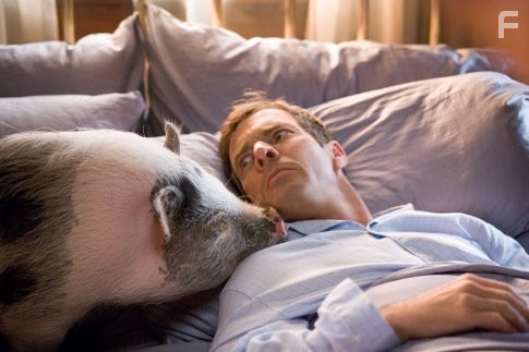 Dennis Quaid in Твои, мои и наши (2005)