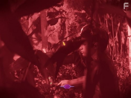 Jolene Blalock in Звездный путь: Энтерпрайз (2001)