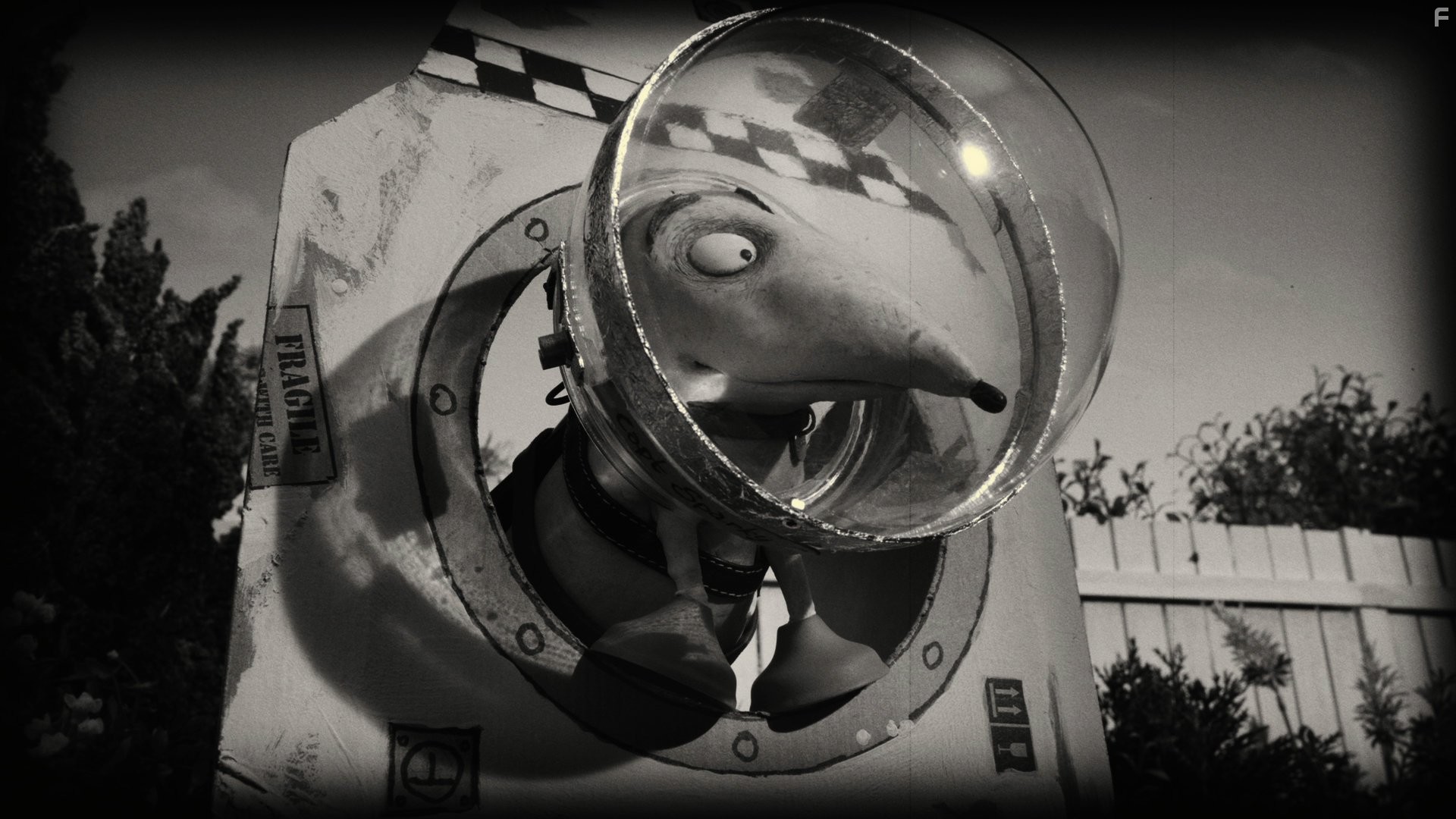 Капiтан Бублик проти лiтаючих тарiлок (2013)