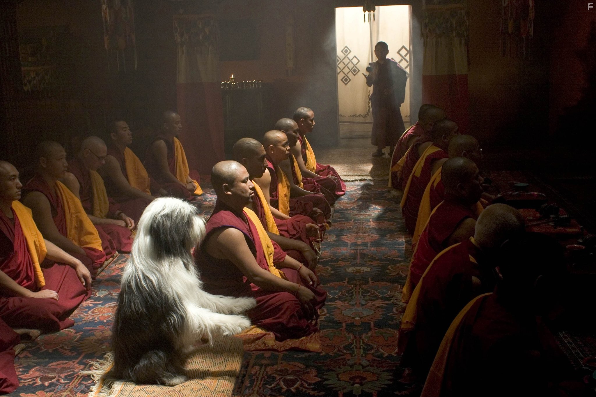 Лохматый папа (2006)