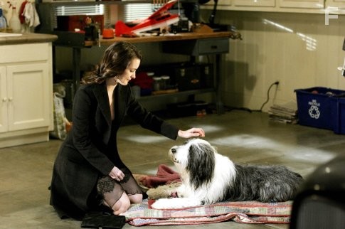 Kristin Davis in Лохматый папа (2006)