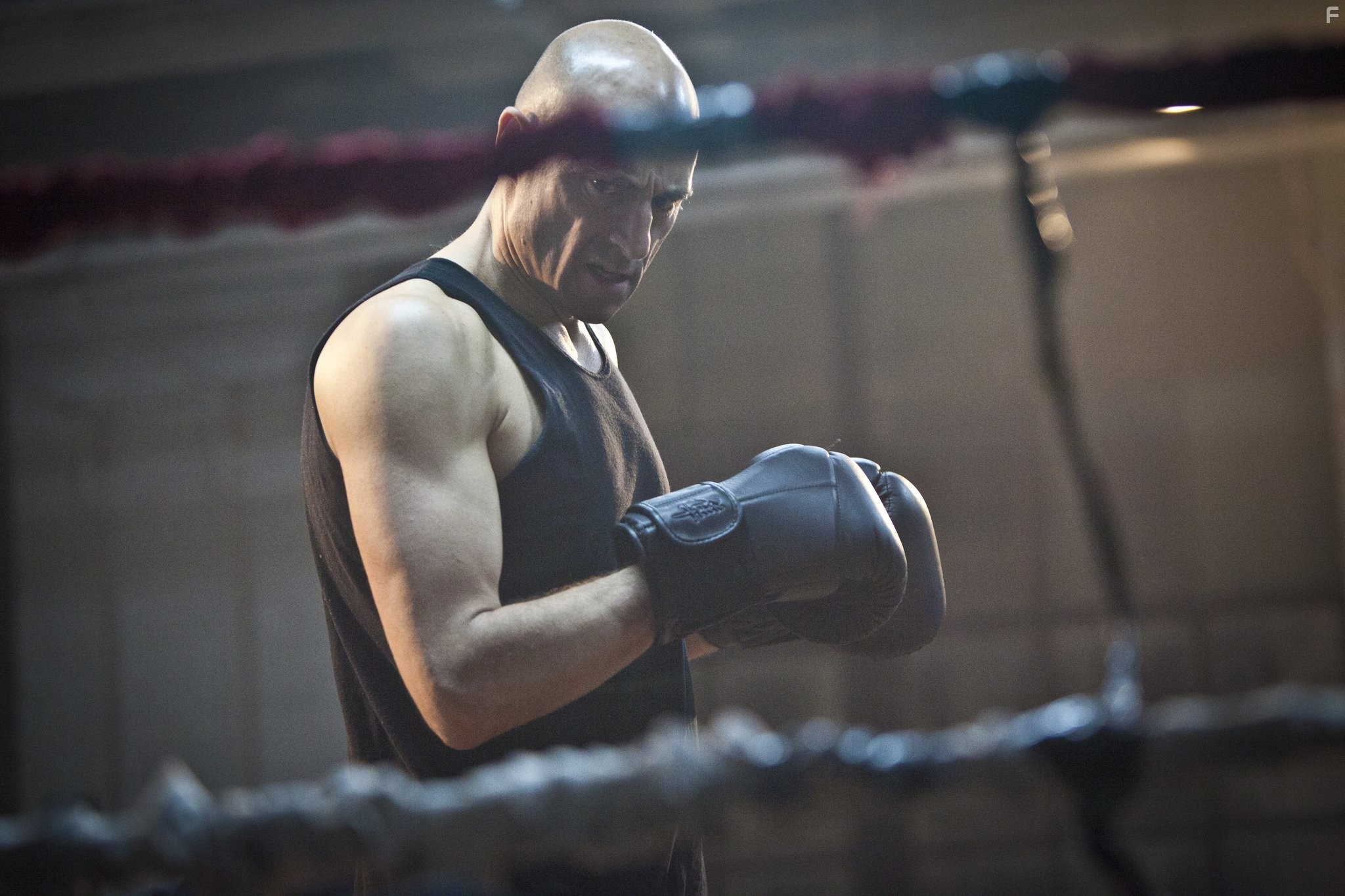 Mark Strong in Низкое зимнее солнце (2013)