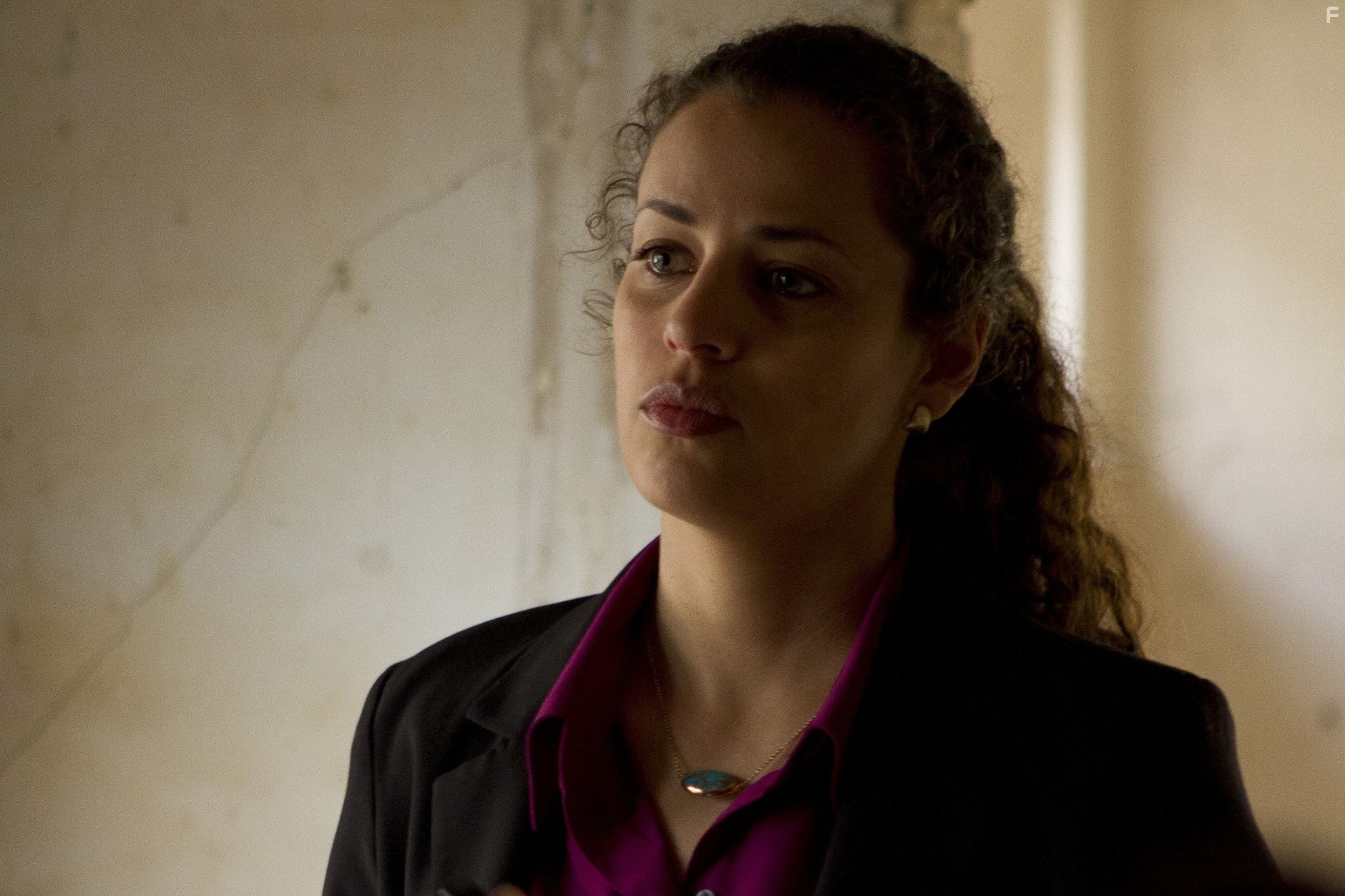 Athena Karkanis in Низкое зимнее солнце (2013)