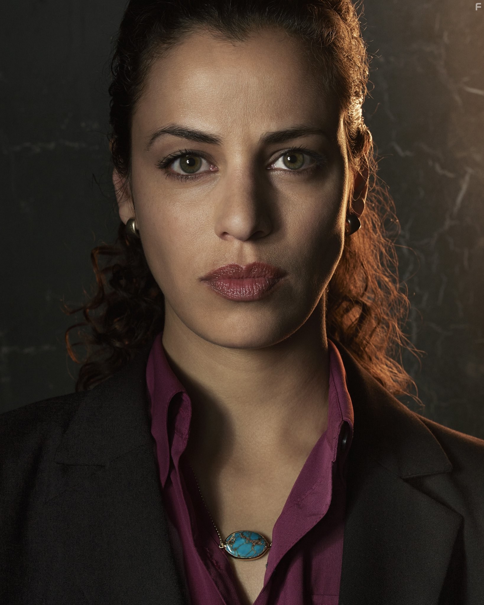 Athena Karkanis in Низкое зимнее солнце (2013)