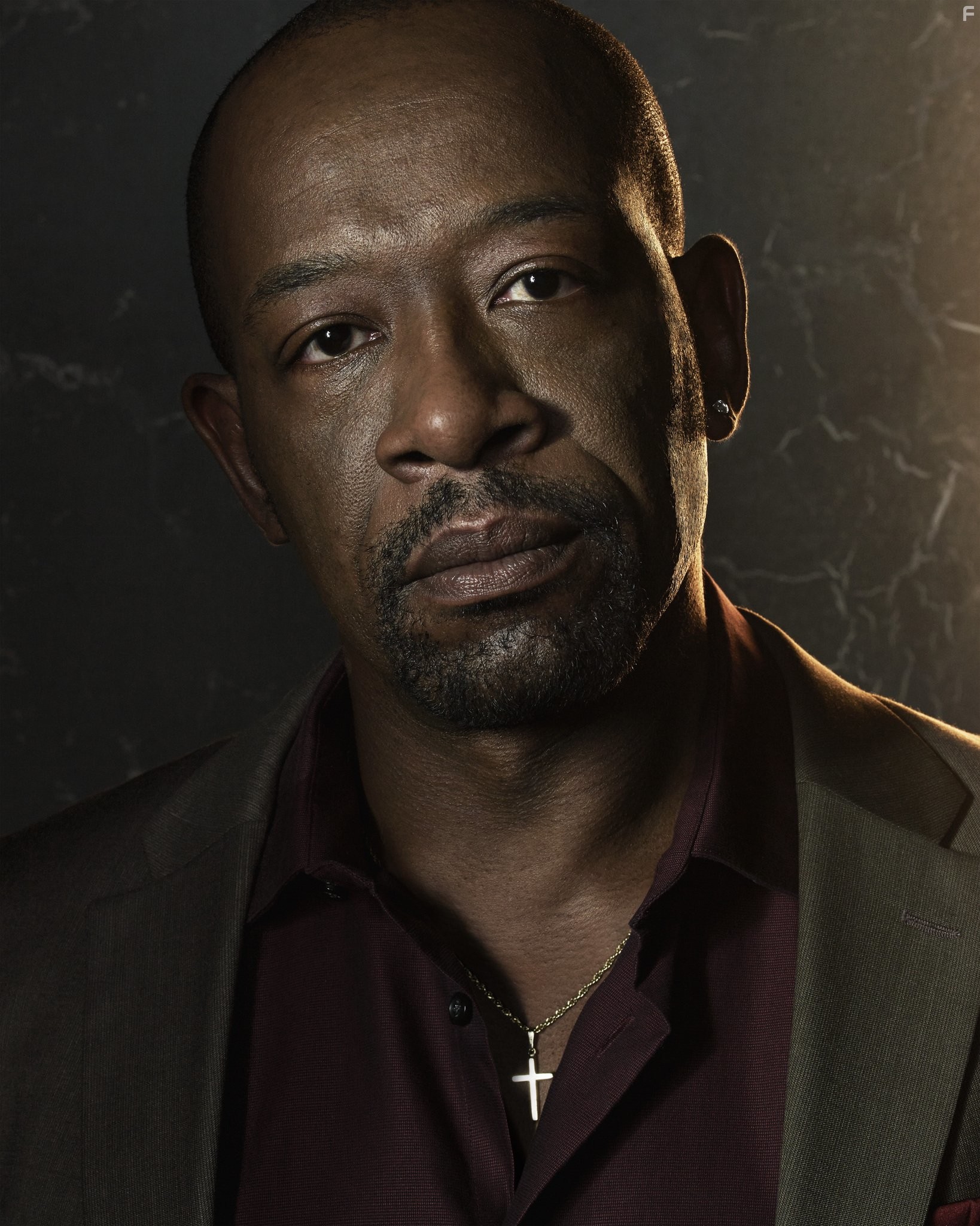 Lennie James in Низкое зимнее солнце (2013)