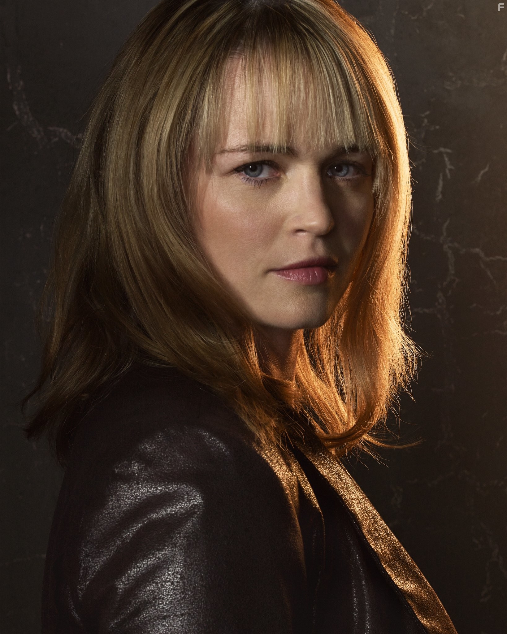 Sprague Grayden in Низкое зимнее солнце (2013)