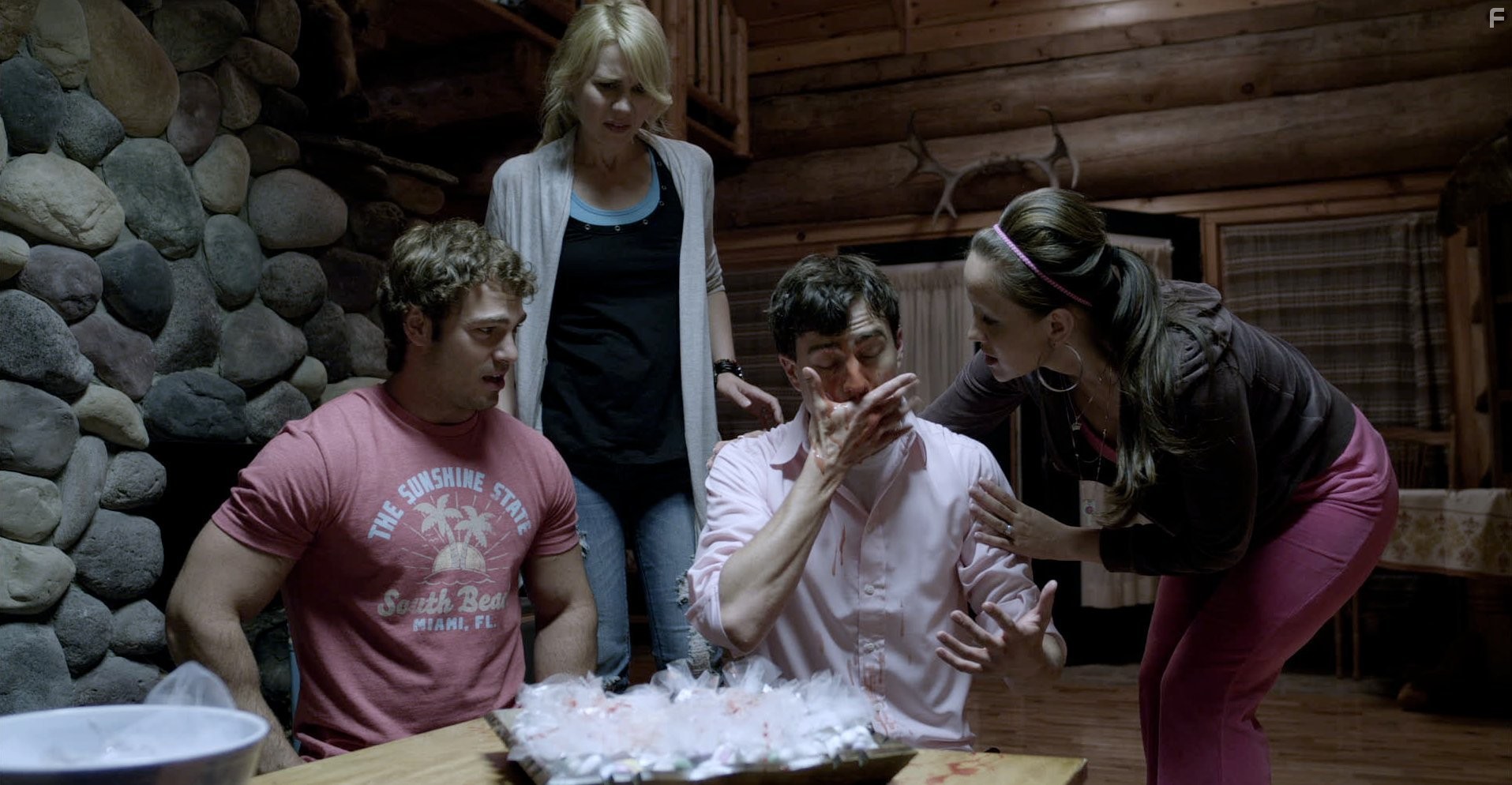 Crystal Lowe, Shawn Roberts, Kristopher Turner, and Kristen Hager in Немного зомби (2012)