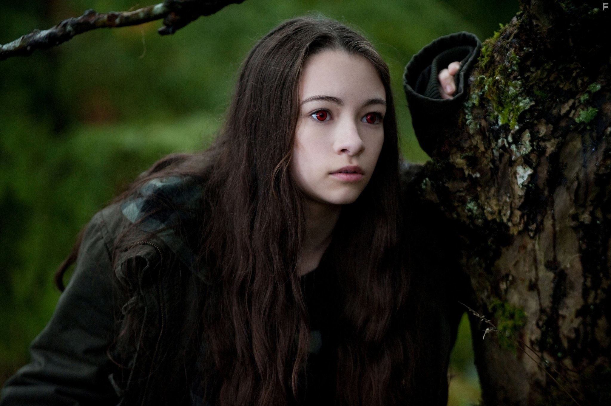 Jodelle Ferland in Сумерки. Сага. Затмение (2010)