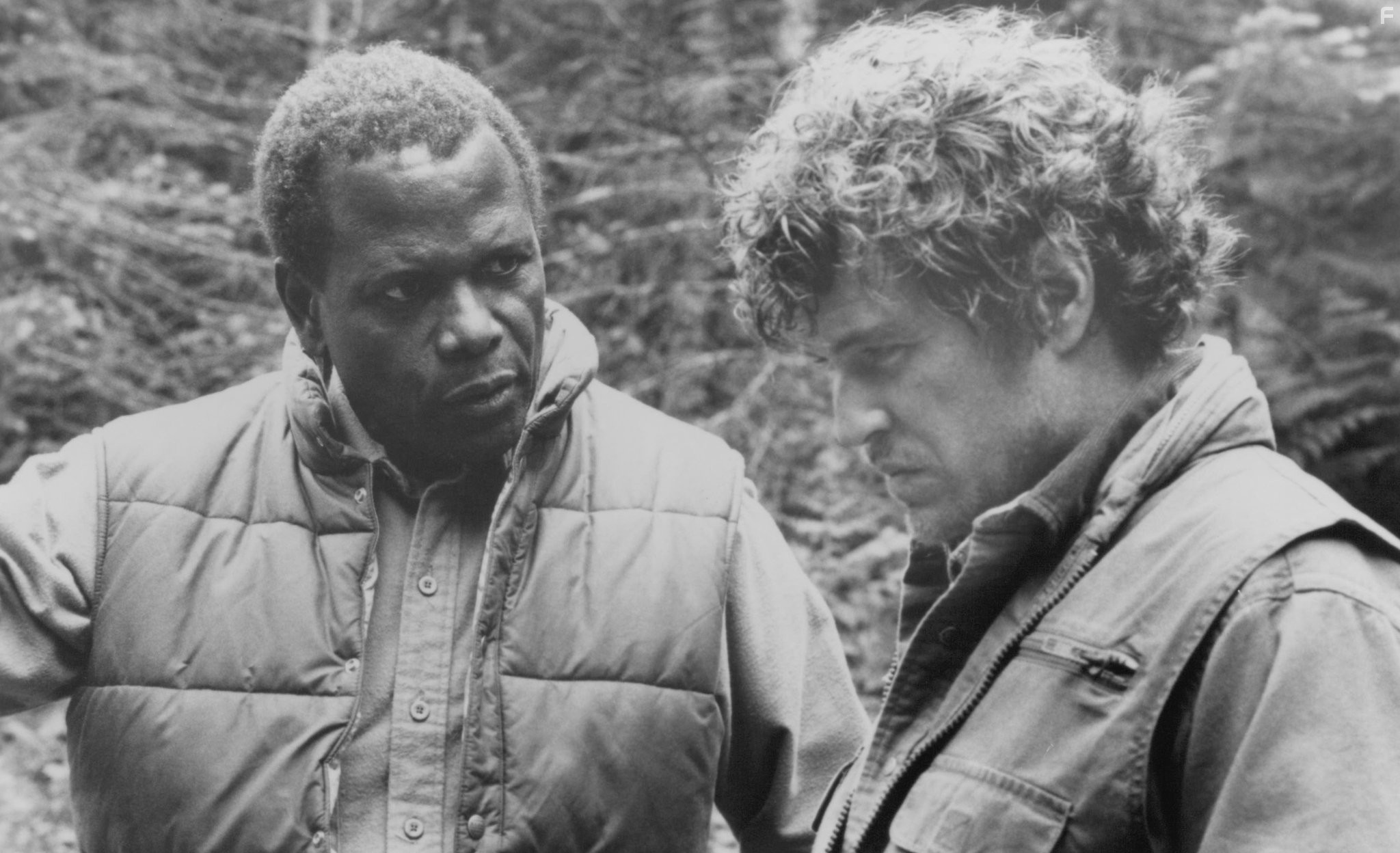 Tom Berenger and Sidney Poitier in Огонь на поражение (1988)