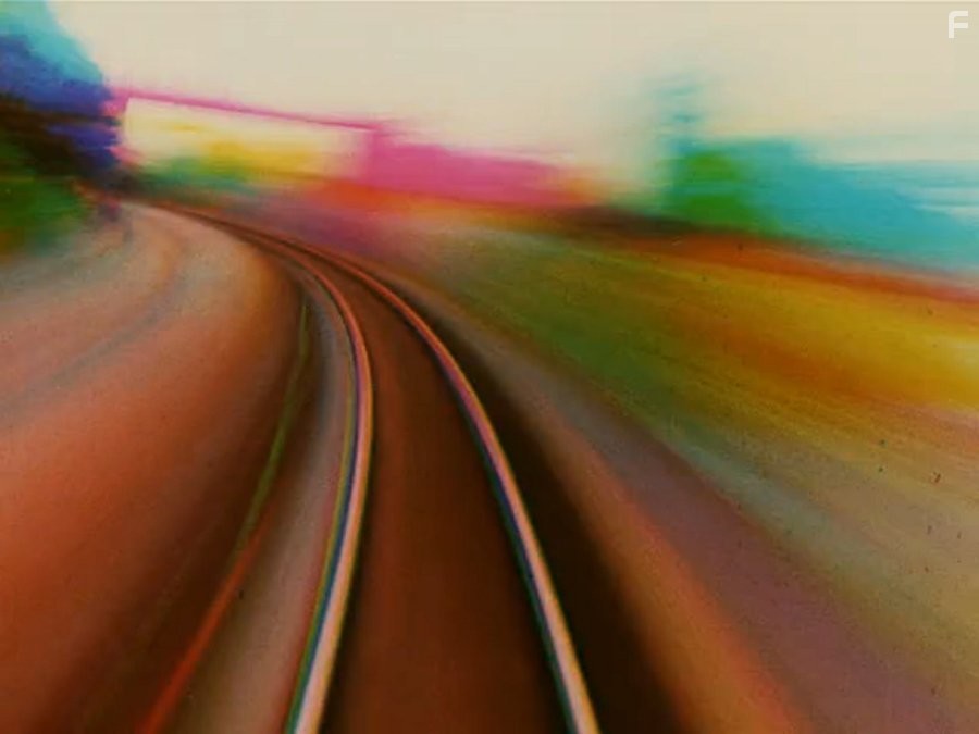 Маргаритки