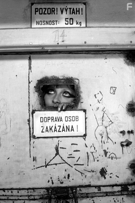 Маргаритки (1966)