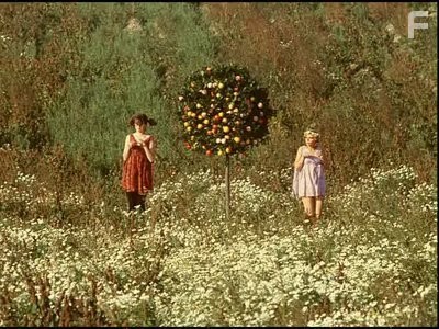 Маргаритки (1966)