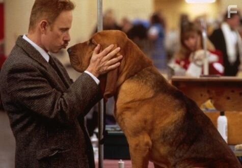 Победители шоу