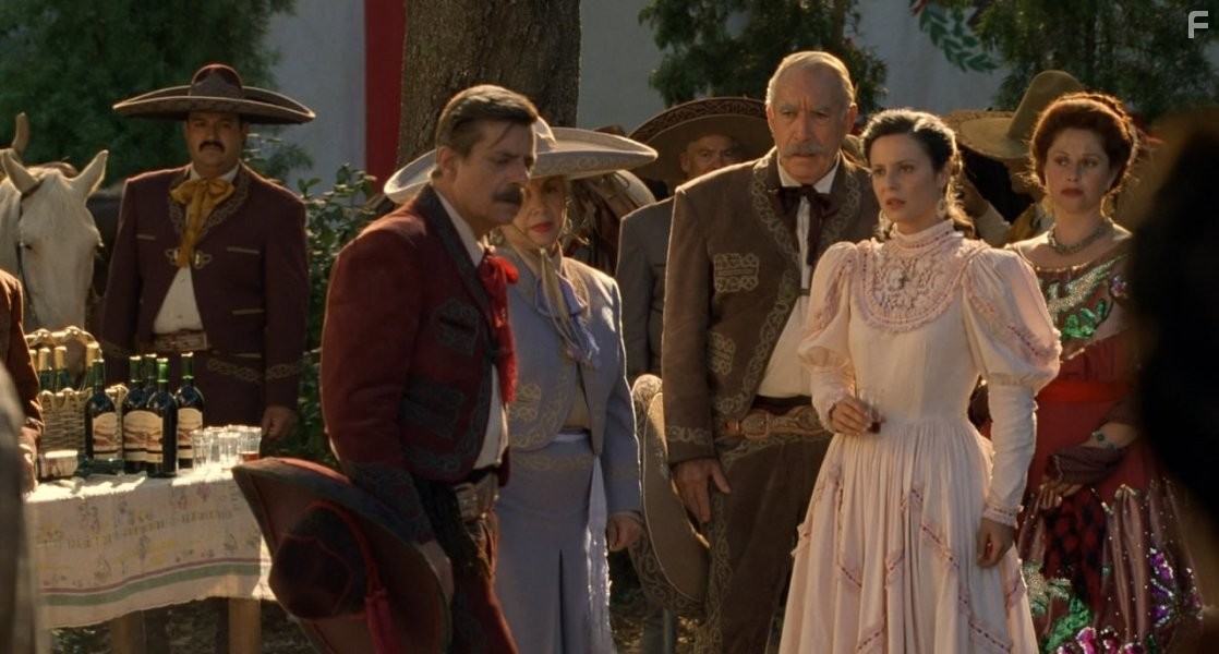 Anthony Quinn, Ang?lica Arag?n, Evangelina Elizondo, Giancarlo Giannini, and Aitana S?nchez-Gij?n in Прогулка в облаках (1995)