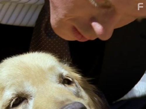 Жизнь как приговор (2007)