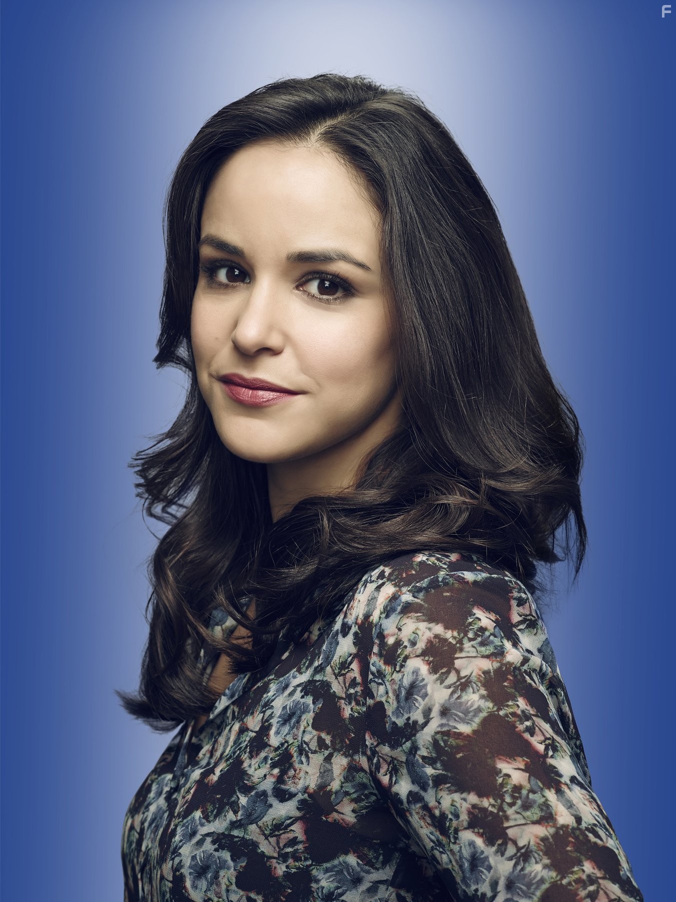 Melissa Fumero in Бруклин 9-9 (2013)