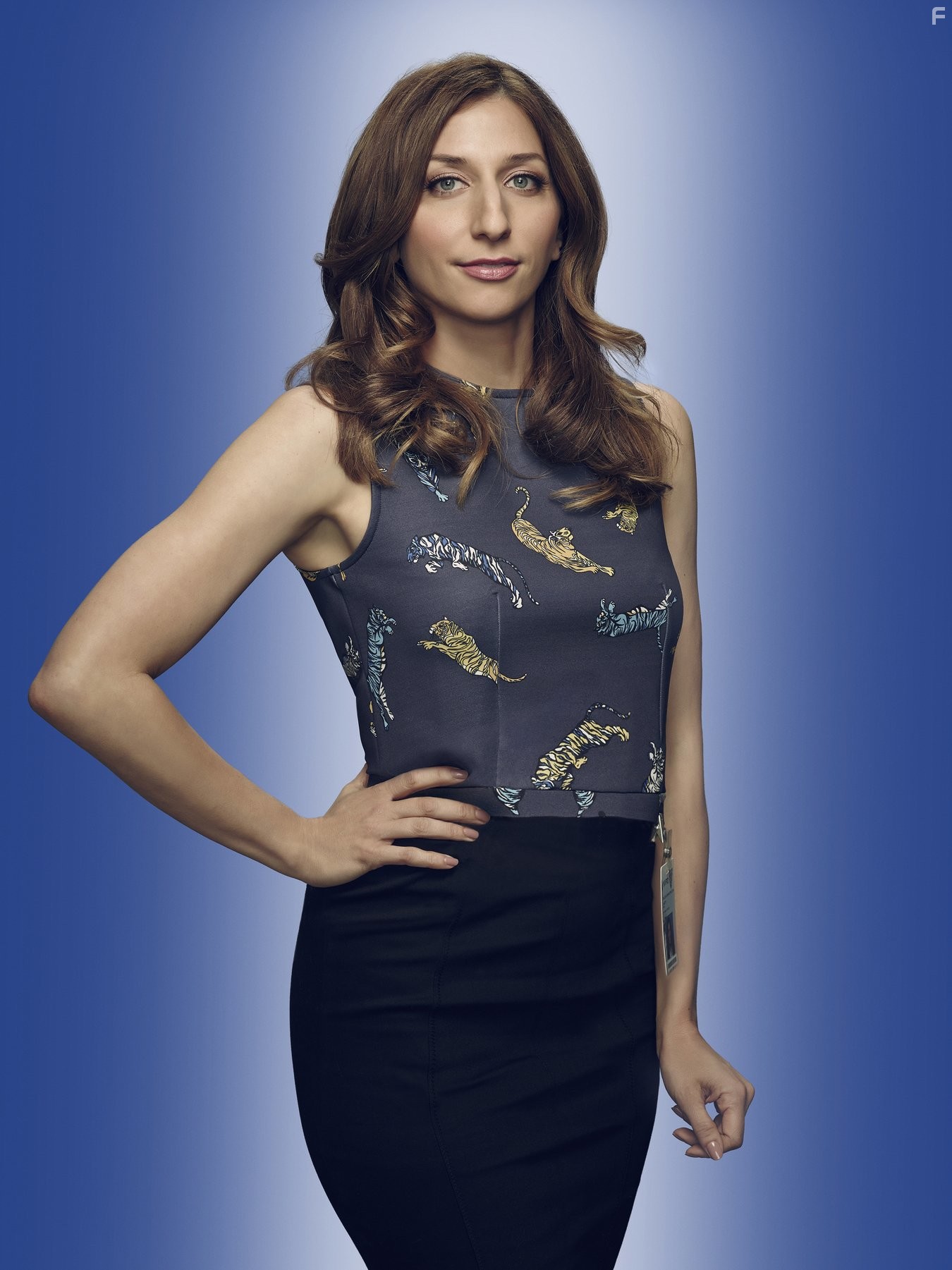 Chelsea Peretti in Бруклин 9-9 (2013)