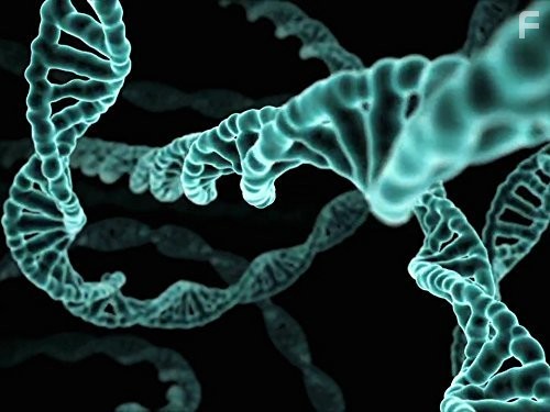 Древние пришельцы (2009)