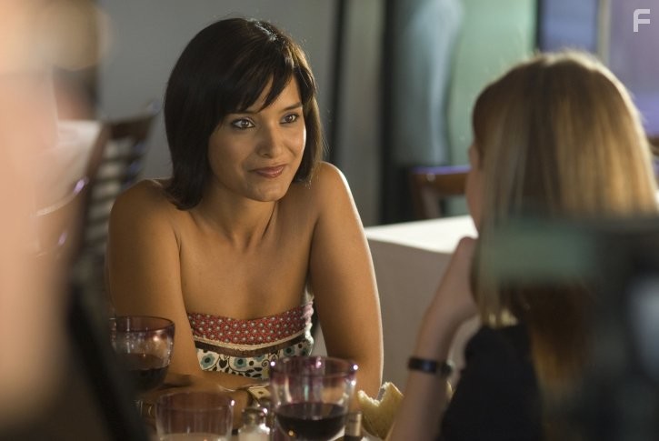 Любовницы (2008)