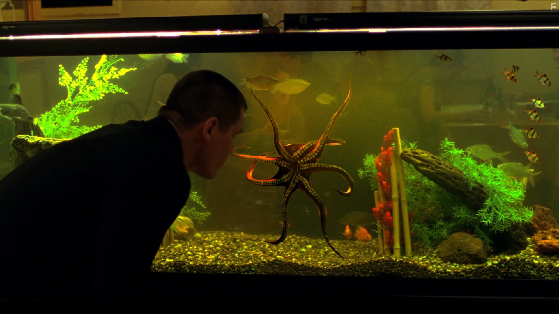 Josh Brolin in Олдбой (2013)