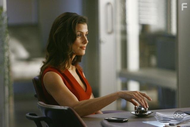 Bridget Moynahan in Элай Стоун (2008)
