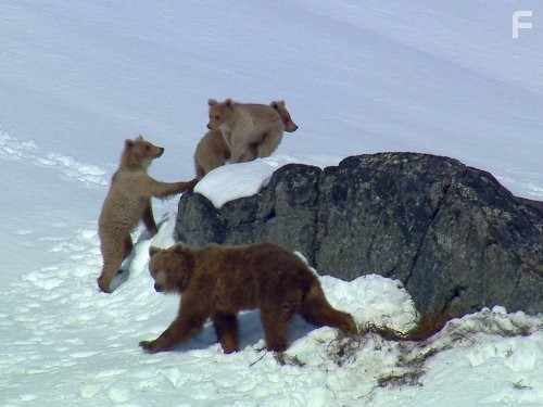 North America (2013)